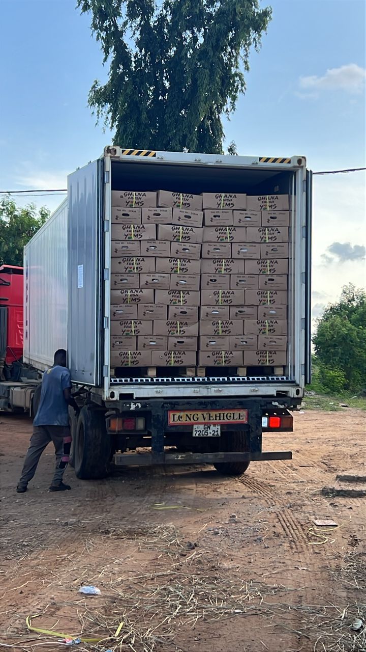Ghana Fresh Yams cartons loaded in container at origin